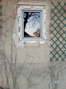Okná sú opatrené ochrannou fóliou